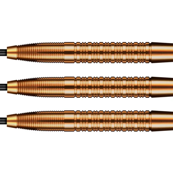 🔥🔱 Jake Womack Pro Series Darts – 1 in 50 Chance! (£70 Cash Alt) - Image 3