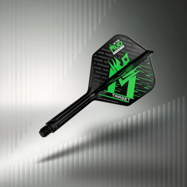 💚 WIN NEW TARGET DARTS 